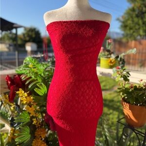 Othr Strapless Red Lace Bodycon Dress